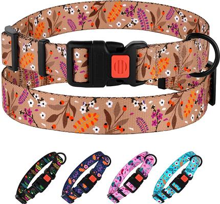 Show full view: CollarDirect Floral Design Pattern Nylon Dog Collar, Beige, X-Large slide 6 of 7