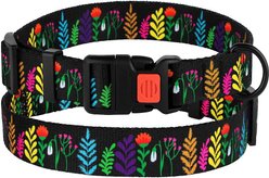 CollarDirect Floral Design Pattern Nylon Dog Collar, Black, Large