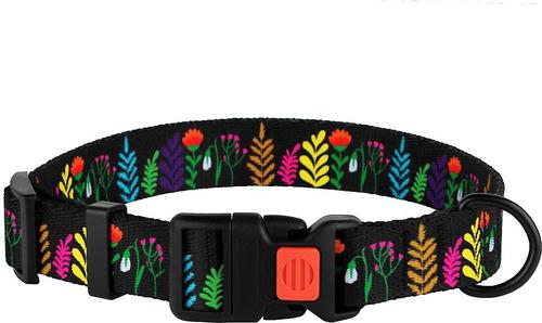 Show full view: CollarDirect Floral Design Pattern Nylon Dog Collar, Black, Small slide 2 of 6