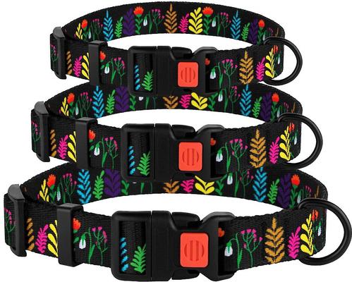 Show full view: CollarDirect Floral Design Pattern Nylon Dog Collar, Black, Small slide 4 of 6