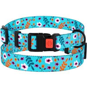 CollarDirect Floral Design Pattern Nylon Dog Collar, Mint Green, Large