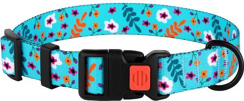 Show full view: CollarDirect Floral Design Pattern Nylon Dog Collar, Mint Green, Large slide 2 of 6