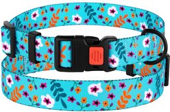 CollarDirect Floral Design Pattern Nylon Dog Collar, Mint Green, Medium