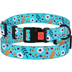 CollarDirect Floral Design Pattern Nylon Dog Collar, Mint Green, Medium