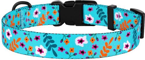 Show full view: CollarDirect Floral Design Pattern Nylon Dog Collar, Mint Green, Medium slide 3 of 6