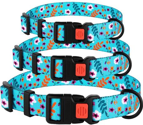 Show full view: CollarDirect Floral Design Pattern Nylon Dog Collar, Mint Green, Medium slide 4 of 6