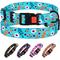 Show in main carousel: CollarDirect Floral Design Pattern Nylon Dog Collar, Mint Green, Medium slide 5 of 6