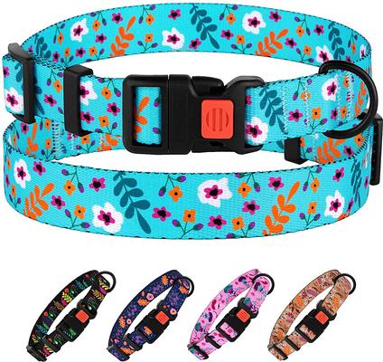 Show full view: CollarDirect Floral Design Pattern Nylon Dog Collar, Mint Green, Medium slide 5 of 6
