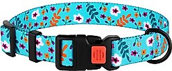 CollarDirect Floral Design Pattern Nylon Dog Collar, Mint Green, Small slide 2 of 5