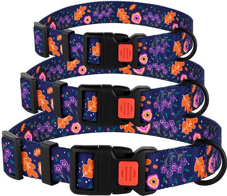 Show full view: CollarDirect Floral Design Pattern Nylon Dog Collar, Navy Blue, X-Large slide 4 of 6