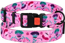 CollarDirect Floral Design Pattern Nylon Dog Collar, Pink, Medium
