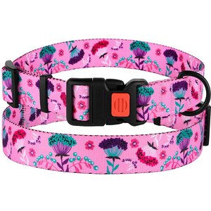 CollarDirect Floral Design Pattern Nylon Dog Collar, Pink, Medium