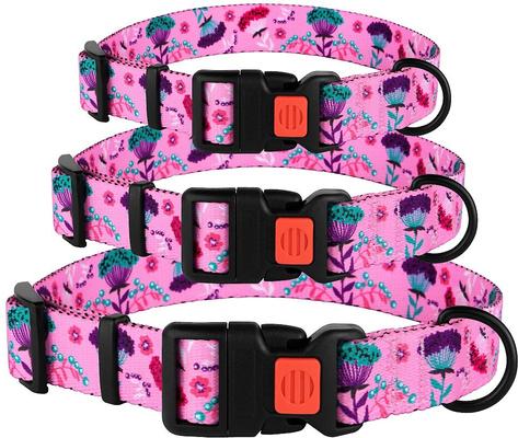 Show full view: CollarDirect Floral Design Pattern Nylon Dog Collar, Pink, Small slide 5 of 7