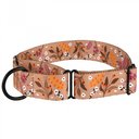 CollarDirect Floral Design Pattern Nylon Martingale Dog Collar, Beige, Large
