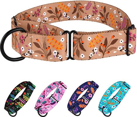 Show full view: CollarDirect Floral Design Pattern Nylon Martingale Dog Collar, Beige, Medium slide 3 of 4