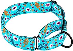 CollarDirect Floral Design Pattern Nylon Martingale Dog Collar, Mint Green, Large