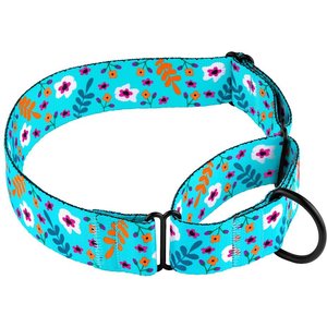 CollarDirect Floral Design Pattern Nylon Martingale Dog Collar, Mint Green, Large
