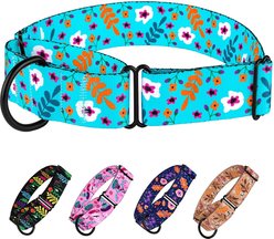 CollarDirect Floral Design Pattern Nylon Martingale Dog Collar, Mint Green, Large slide 2 of 2