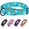 Show in main carousel: CollarDirect Floral Design Pattern Nylon Martingale Dog Collar, Mint Green, Large slide 2 of 3