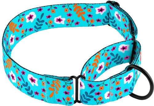 Show full view: CollarDirect Floral Design Pattern Nylon Martingale Dog Collar, Mint Green, Medium slide 3 of 6