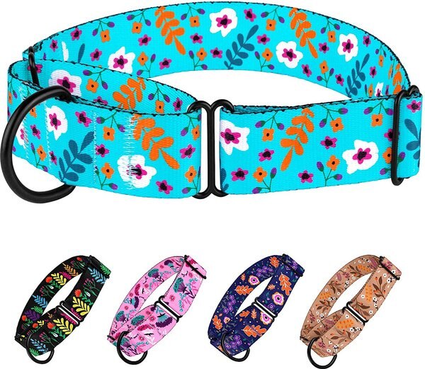 CollarDirect Floral Design Pattern Nylon Martingale Dog Collar