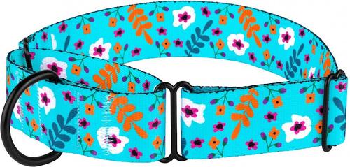 Show full view: CollarDirect Floral Design Pattern Nylon Martingale Dog Collar, Mint Green, Medium slide 5 of 6