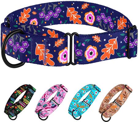 Show full view: CollarDirect Floral Design Pattern Nylon Martingale Dog Collar, Navy Blue, Large slide 4 of 5