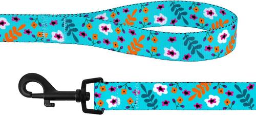 Show full view: CollarDirect Floral Pattern Nylon Dog Leash, Mint Green, Large slide 2 of 3