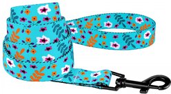 CollarDirect Floral Pattern Nylon Dog Leash, Mint Green, Medium