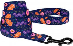 CollarDirect Floral Pattern Nylon Dog Leash, Navy Blue, Medium