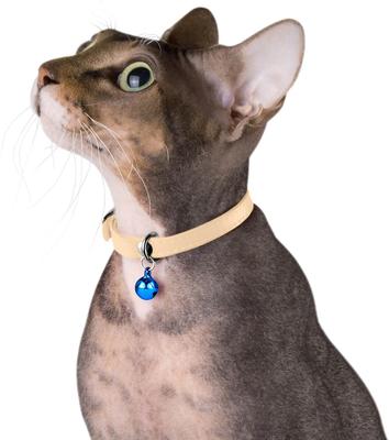Show full view: CollarDirect Leather Cat Collar with Bell, Beige, Medium: 9 to 11-in neck, 3/8-in wide slide 3 of 4
