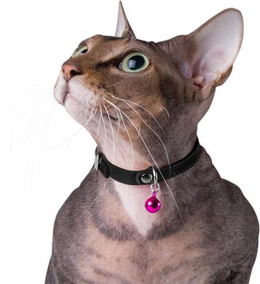 Show full view: CollarDirect Leather Cat Collar with Bell, Black, Medium: 9 to 11-in neck, 3/8-in wide slide 3 of 4