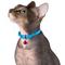 Show in main carousel: CollarDirect Leather Cat Collar with Bell, Blue, Medium: 9 to 11-in neck, 3/8-in wide slide 3 of 4