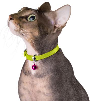 Show full view: CollarDirect Leather Cat Collar with Bell, Lime Green, Medium: 9 to 11-in neck, 3/8-in wide slide 3 of 4