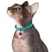Show in main carousel: CollarDirect Leather Cat Collar with Bell, Mint Green, Medium: 9 to 11-in neck, 3/8-in wide slide 3 of 4