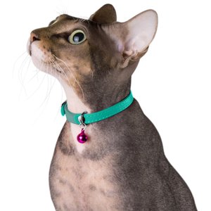 CollarDirect Leather Cat Collar with Bell, Mint Green, Medium: 9 to 11-in neck, 3/8-in wide