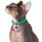 Show in main carousel: CollarDirect Leather Cat Collar with Bell, Mint Green, Small: 6 to 7-in neck, 3/8-in wide slide 3 of 4
