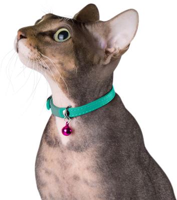 Show full view: CollarDirect Leather Cat Collar with Bell, Mint Green, Small: 6 to 7-in neck, 3/8-in wide slide 3 of 4