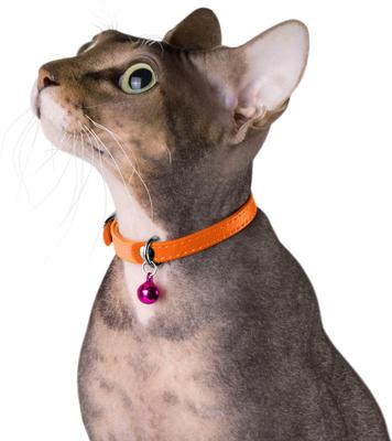 Show full view: CollarDirect Leather Cat Collar with Bell, Orange, Medium: 9 to 11-in neck, 3/8-in wide slide 3 of 4