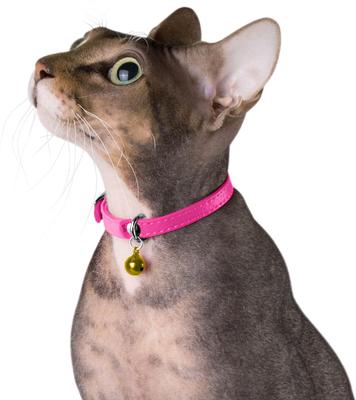 Show full view: CollarDirect Leather Cat Collar with Bell, Pink, Medium: 9 to 11-in neck, 3/8-in wide slide 3 of 4