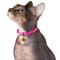 Show in main carousel: CollarDirect Leather Cat Collar with Bell, Pink, Small: 6 to 7-in neck, 3/8-in wide slide 3 of 4