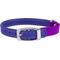 Show in main carousel: CollarDirect Leather Cat Collar with Bell, Purple, Medium: 9 to 11-in neck, 3/8-in wide slide 1 of 4