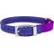 Show in main carousel: CollarDirect Leather Cat Collar with Bell, Purple, Small: 6 to 7-in neck, 3/8-in wide slide 1 of 4