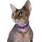 Show in main carousel: CollarDirect Leather Cat Collar with Bell, Purple, Small: 6 to 7-in neck, 3/8-in wide slide 3 of 4