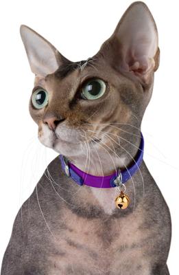 Show full view: CollarDirect Leather Cat Collar with Bell, Purple, Small: 6 to 7-in neck, 3/8-in wide slide 3 of 4