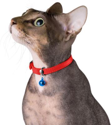 Show full view: CollarDirect Leather Cat Collar with Bell, Red, Medium: 9 to 11-in neck, 3/8-in wide slide 4 of 5
