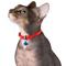 Show in main carousel: CollarDirect Leather Cat Collar with Bell, Red, Small: 6 to 7-in neck, 3/8-in wide slide 4 of 5