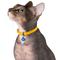 Show in main carousel: CollarDirect Leather Cat Collar with Bell, Yellow, Medium: 9 to 11-in neck, 3/8-in wide slide 4 of 5