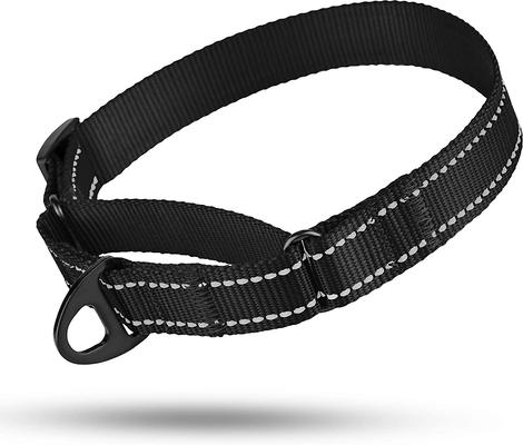 Show full view: CollarDirect Reflective Martingale Nylon Dog Collar, Black, Small slide 5 of 7