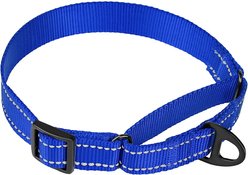 CollarDirect Reflective Martingale Nylon Dog Collar, Blue, Large slide 2 of 6
